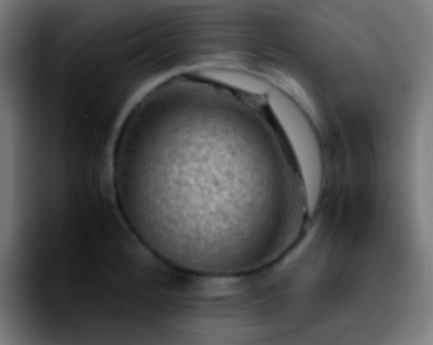 X0000092291184200709211208