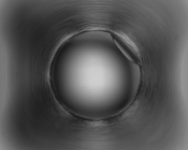 X0000092291189200709211208