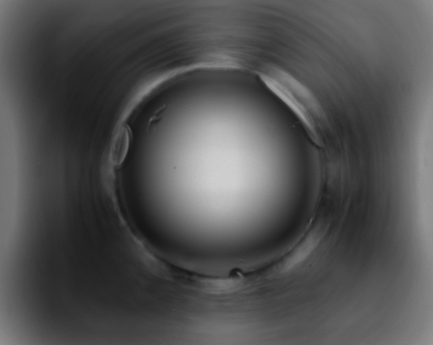 X0000092291192200709211208