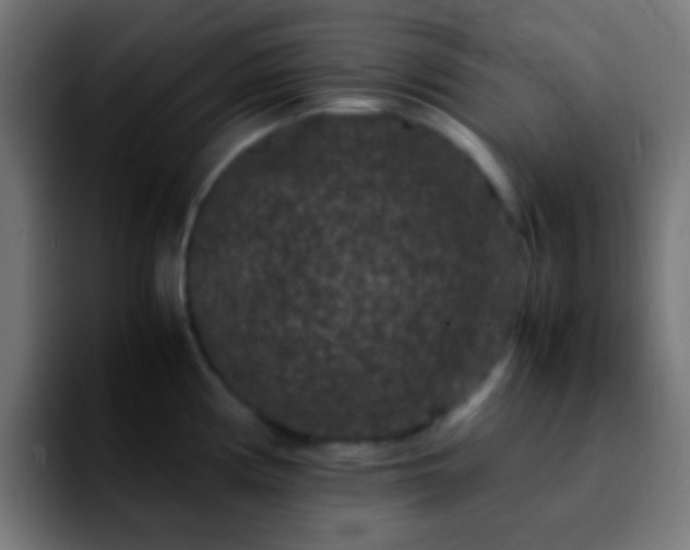 X0000092291194200709211208