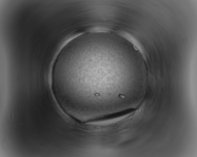 X0000092291195200709211208