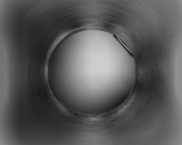 X0000092291196200709211208