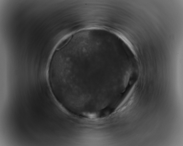 X0000092291197200709211208