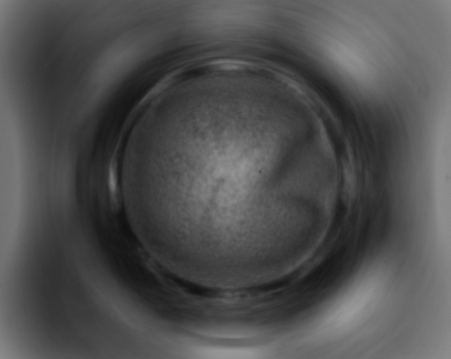 X0000092291198200709211208