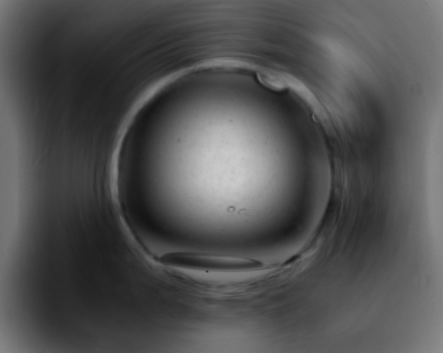 X0000092291199200709211208