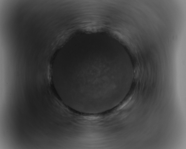 X0000092291202200709211207