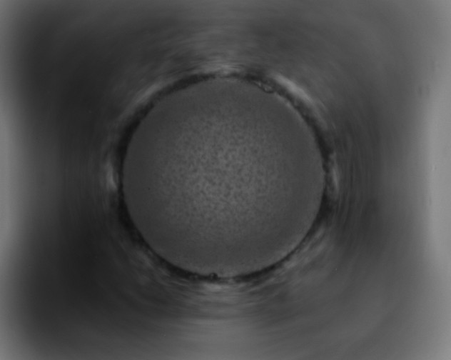 X0000092291206200709211207