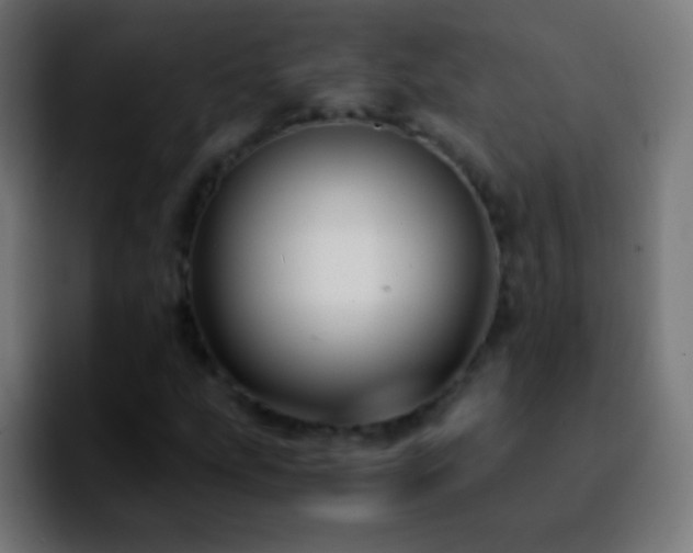 X0000092291207200709211207