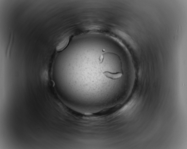 X0000092291209200709211207