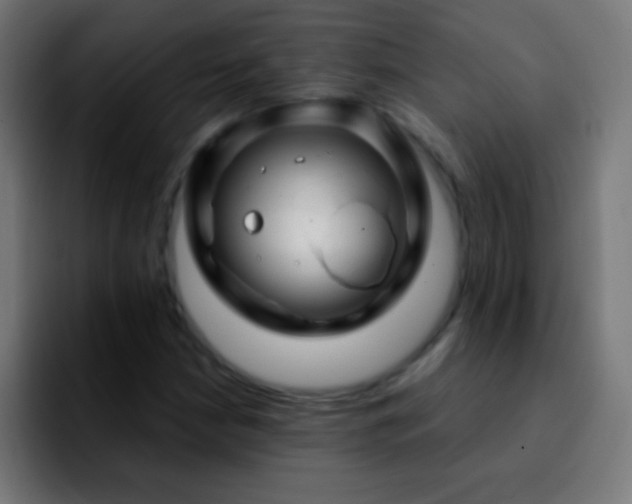 X0000092291210200709211207