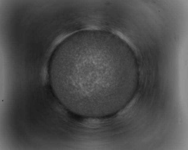 X0000092291215200709211207