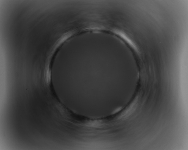 X0000092291221200709211207