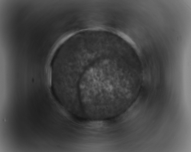 X0000092291223200709211207