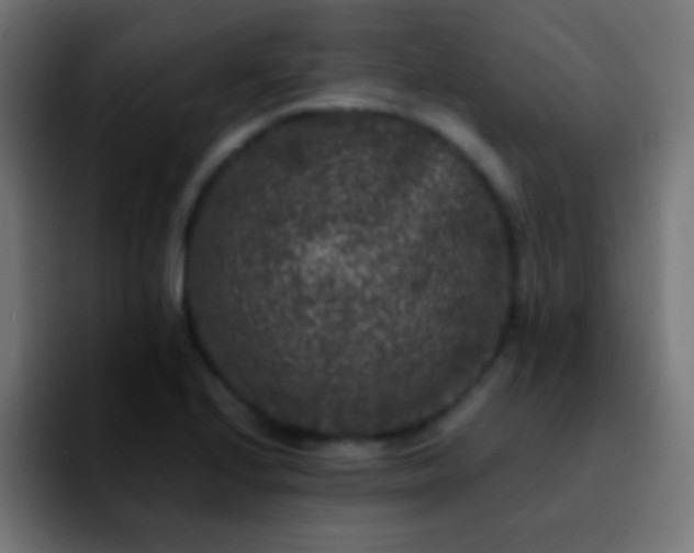 X0000092291224200709211207