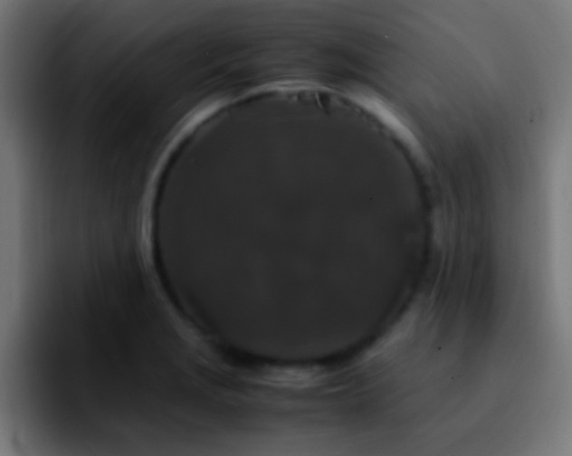 X0000092291229200709211207