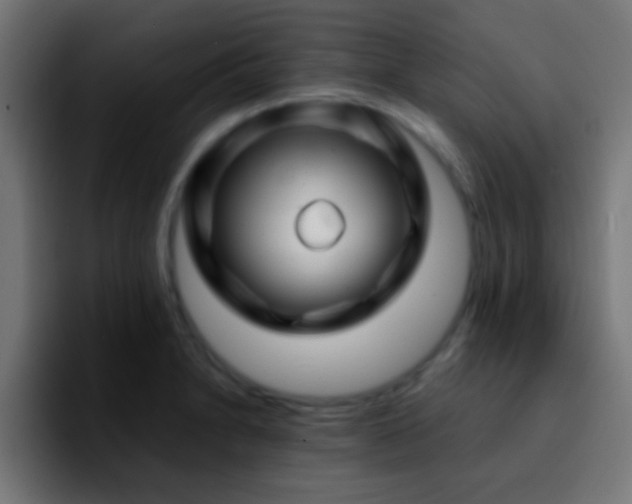 X0000092291230200709211207