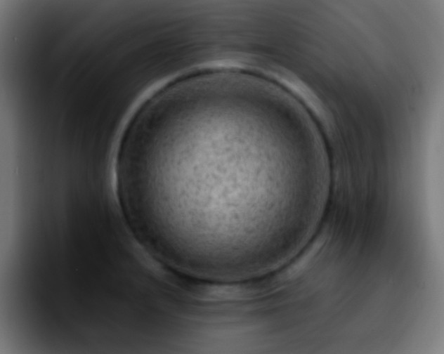 X0000092291232200709211207