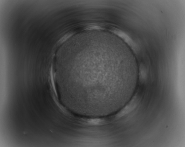 X0000092291233200709211207