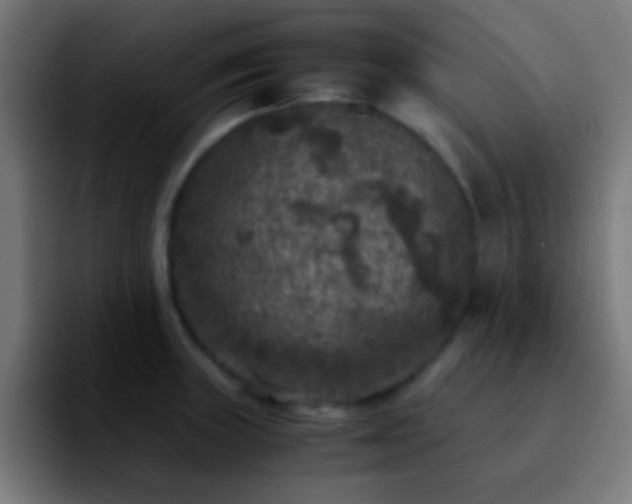 X0000092291235200709211207