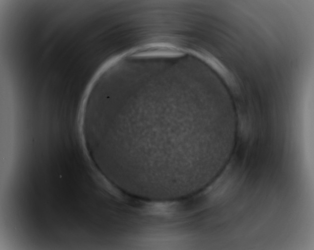 X0000092291240200709211207