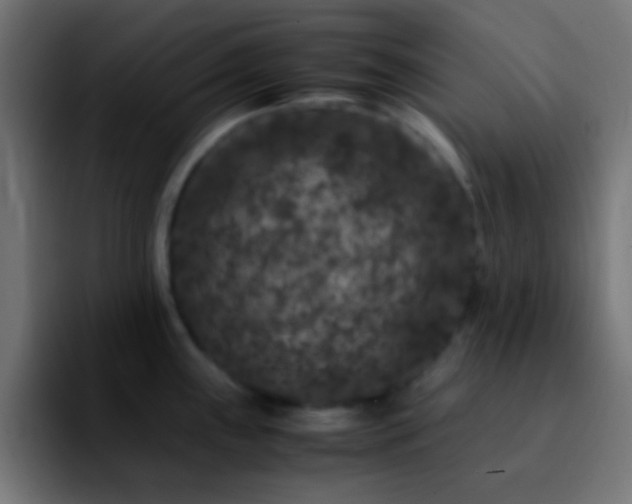 X0000092291243200709211207