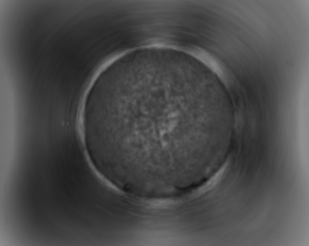 X0000092291247200709211207