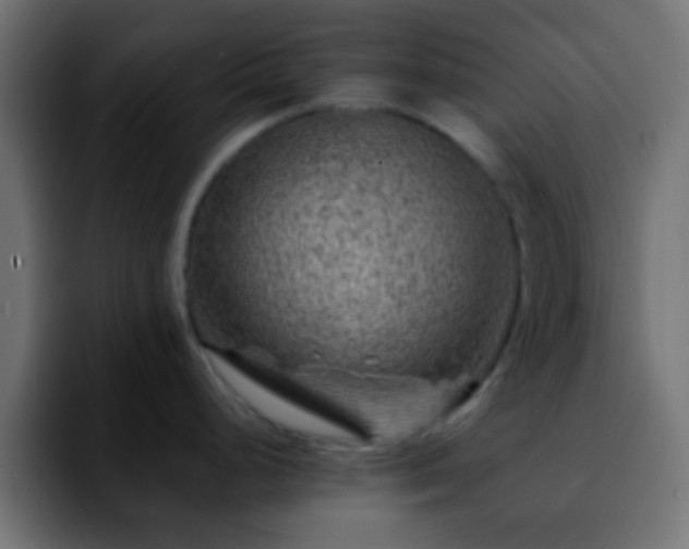 X0000092291248200709211208