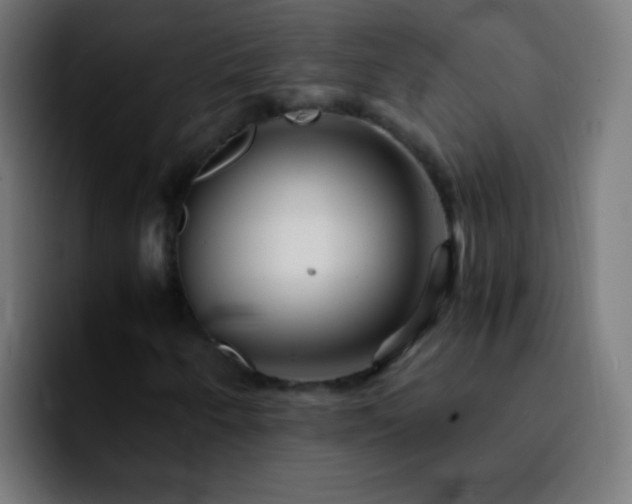 X0000092291250200709211207