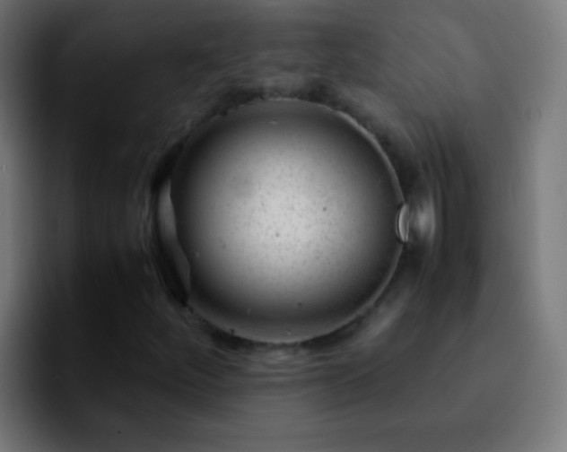 X0000092291252200709211207