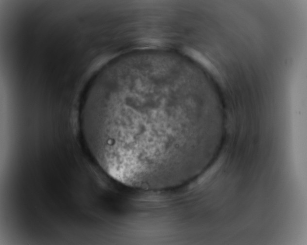 X0000092291259200709211207