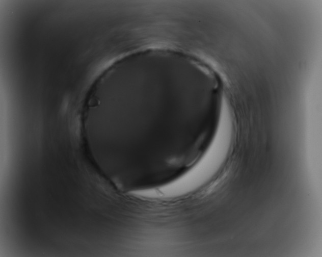 X0000092291263200709211207