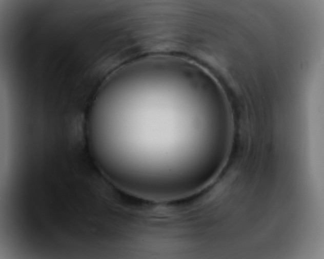 X0000092291265200709211207