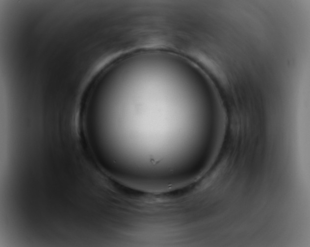 X0000092291270200709211207