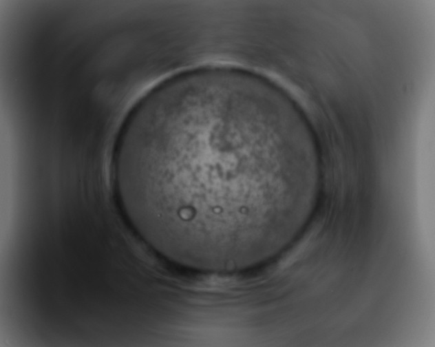 X0000092291271200709211207