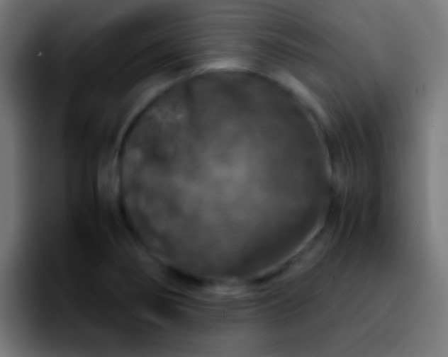 X0000092291274200709211207