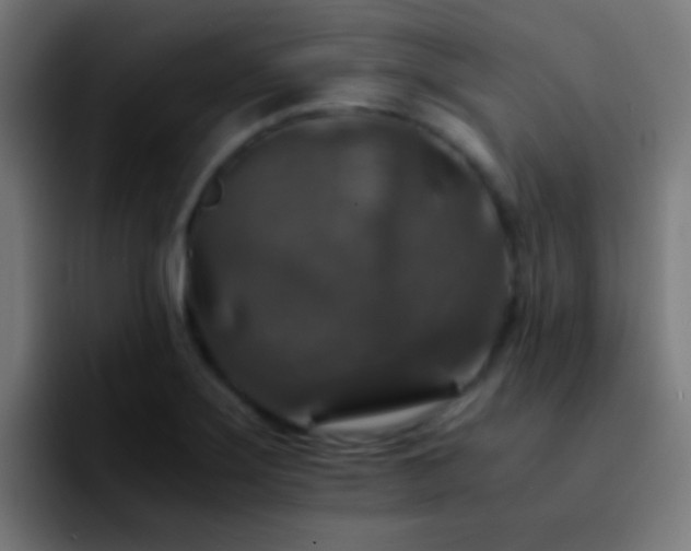 X0000092291275200709211207