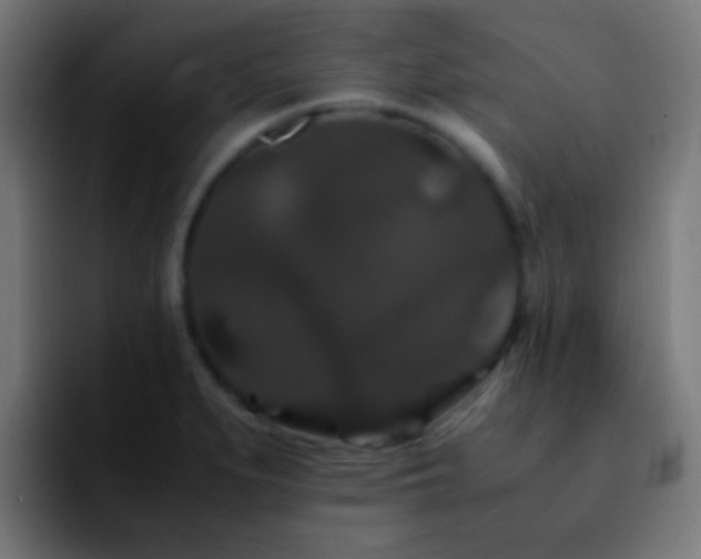 X0000092291279200709211207