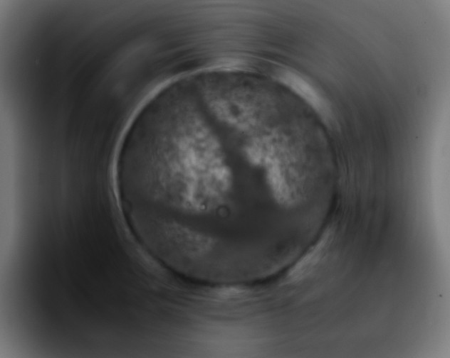 X0000092291283200709211207