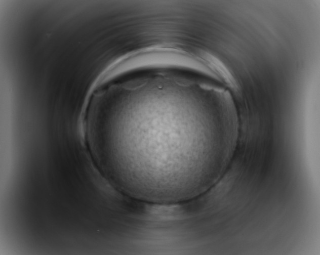 X0000092291284200709211207