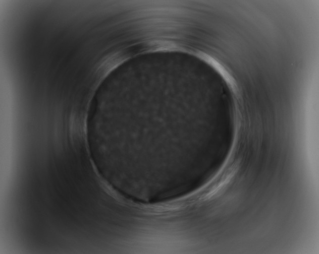 X0000092291289200709211206