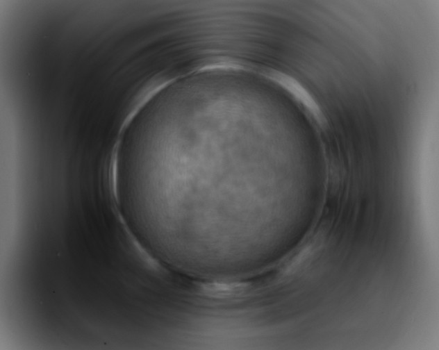 X0000092291290200709211206