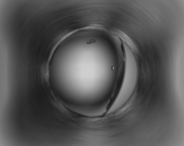 X0000092291292200709211206