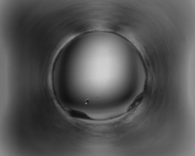 X0000092291293200709211206