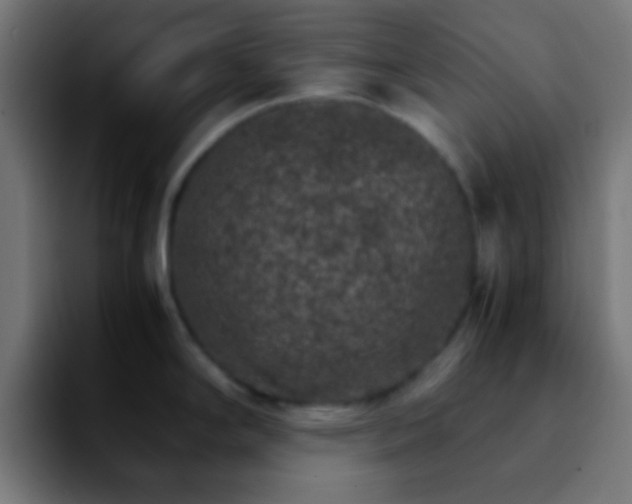 X0000092291294200709211206