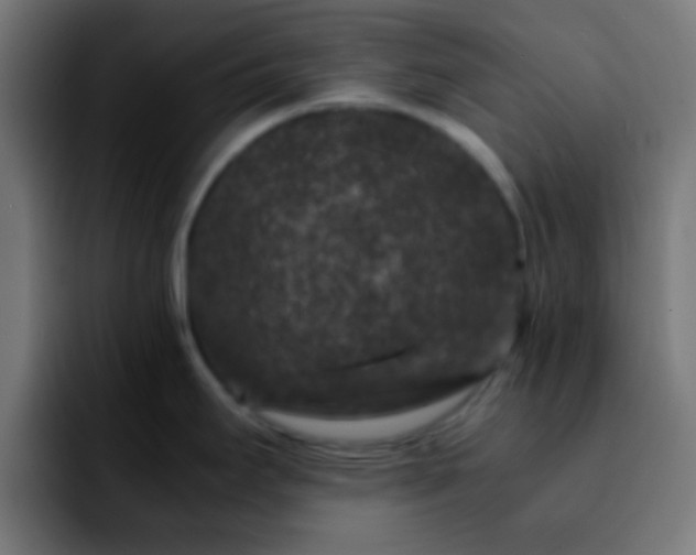 X0000092291295200709211206