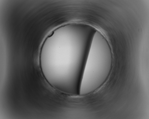 X0000092291296200709211206