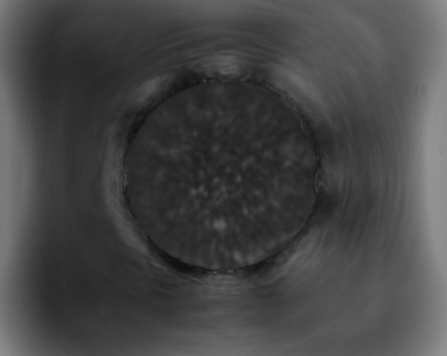 X0000092291297200709211206