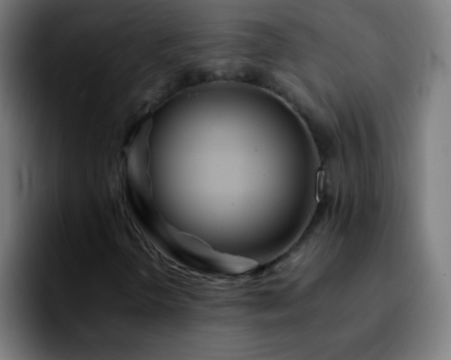 X0000092291298200709211206