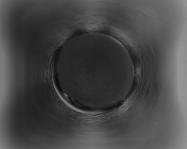 X0000092291300200709211206