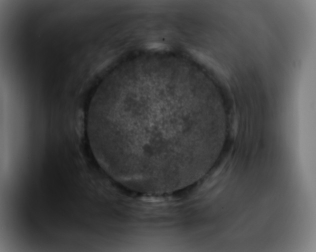 X0000092291301200709211206